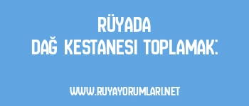 Rüyada Dağ Kestanesi Toplamak: