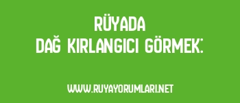 Rüyada Dağ Kırlangıcı Görmek: