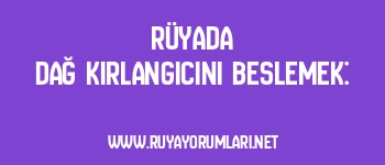 Rüyada Dağ Kırlangıcını Beslemek: