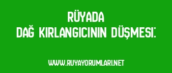 Rüyada Dağ Kırlangıcının Düşmesi: