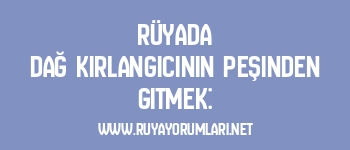 Rüyada Dağ Kırlangıcının Peşinden Gitmek: