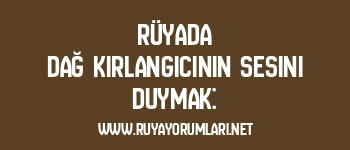 Rüyada Dağ Kırlangıcının Sesini Duymak: