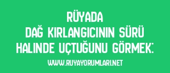 Rüyada Dağ Kırlangıcının Sürü Halinde Uçtuğunu Görmek: