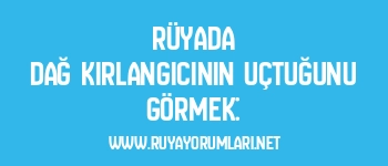 Rüyada Dağ Kırlangıcının Uçtuğunu Görmek: