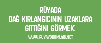 Rüyada Dağ Kırlangıcının Uzaklara Gittiğini Görmek: