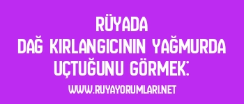 Rüyada Dağ Kırlangıcının Yağmurda Uçtuğunu Görmek: