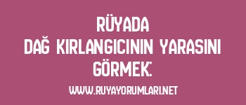 Rüyada Dağ Kırlangıcının Yarasını Görmek: