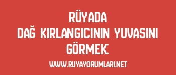 Rüyada Dağ Kırlangıcının Yuvasını Görmek: