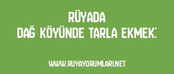 Rüyada Dağ Köyünde Tarla Ekmek: