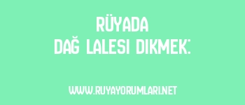 Rüyada Dağ Lalesi Dikmek: