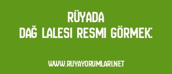 Rüyada Dağ Lalesi Resmi Görmek: