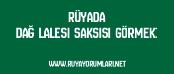 Rüyada Dağ Lalesi Saksısı Görmek: