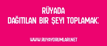 Rüyada Dağıtılan Bir Şeyi Toplamak: