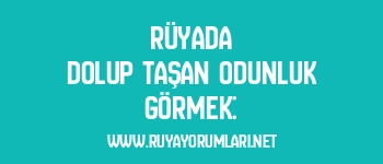 Rüyada Dolup Taşan Odunluk Görmek: