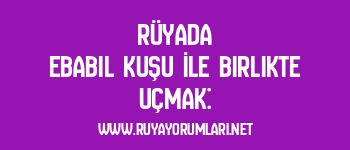 Rüyada Ebabil Kuşu İle Birlikte Uçmak: