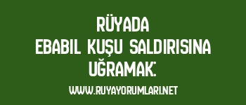 Rüyada Ebabil Kuşu Saldırısına Uğramak: