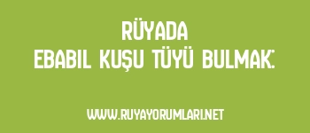 Rüyada Ebabil Kuşu Tüyü Bulmak: