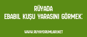 Rüyada Ebabil Kuşu Yarasını Görmek: