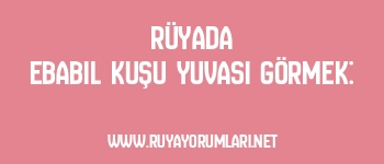 Rüyada Ebabil Kuşu Yuvası Görmek: