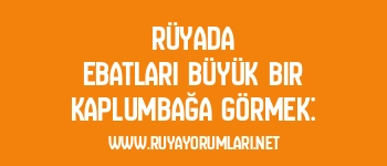 Rüyada Ebatları Büyük Bir Kaplumbağa Görmek: