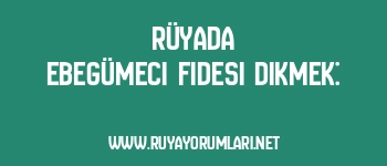 Rüyada Ebegümeci Fidesi Dikmek: