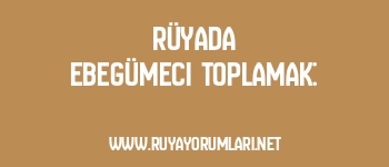 Rüyada Ebegümeci Toplamak: