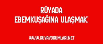 Rüyada Ebemkuşağına Ulaşmak: