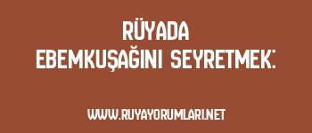 Rüyada Ebemkuşağını Seyretmek: