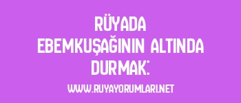 Rüyada Ebemkuşağının Altında Durmak: