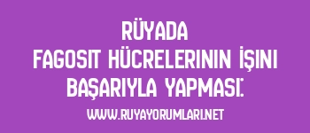 Rüyada Fagosit Hücrelerinin İşini Başarıyla Yapması: