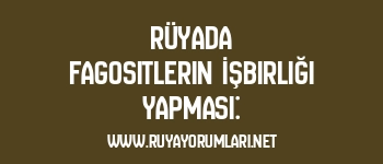 Rüyada Fagositlerin İşbirliği Yapması: