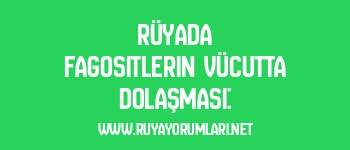 Rüyada Fagositlerin Vücutta Dolaşması: