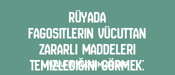 Rüyada Fagositlerin Vücuttan Zararlı Maddeleri Temizlediğini Görmek: