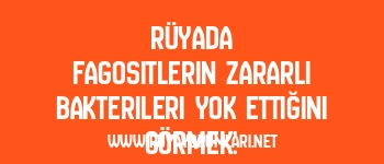 Rüyada Fagositlerin Zararlı Bakterileri Yok Ettiğini Görmek: