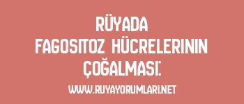 Rüyada Fagositoz Hücrelerinin Çoğalması: