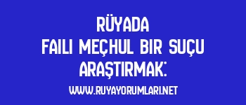Rüyada Faili Meçhul Bir Suçu Araştırmak: