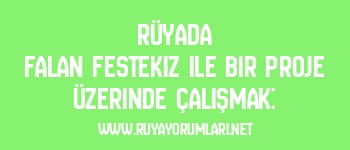 Rüyada Falan Festekiz ile Bir Proje Üzerinde Çalışmak:
