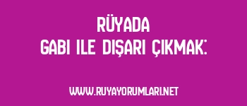 Rüyada Gabi ile Dışarı Çıkmak: