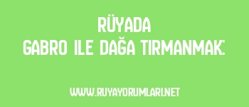 Rüyada Gabro ile Dağa Tırmanmak: