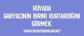 Rüyada Gabyacının Birini Kurtardığını Görmek: