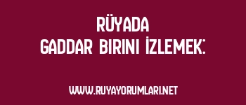 Rüyada Gaddar Birini İzlemek: