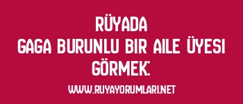 Rüyada Gaga Burunlu Bir Aile Üyesi Görmek: