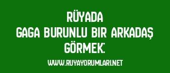 Rüyada Gaga Burunlu Bir Arkadaş Görmek: