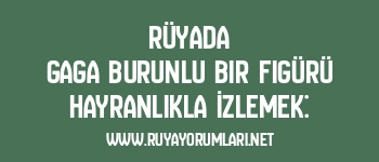 Rüyada Gaga Burunlu Bir Figürü Hayranlıkla İzlemek: