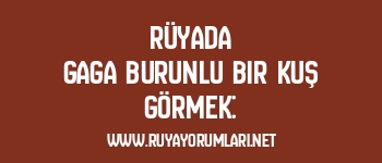 Rüyada Gaga Burunlu Bir Kuş Görmek: