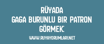 Rüyada Gaga Burunlu Bir Patron Görmek: