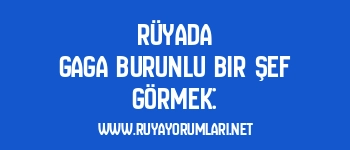 Rüyada Gaga Burunlu Bir Şef Görmek: