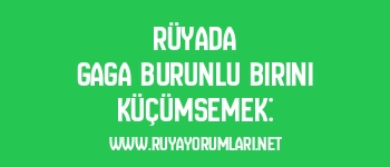 Rüyada Gaga Burunlu Birini Küçümsemek: