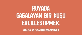 Rüyada Gagalayan Bir Kuşu Evcilleştirmek: