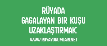 Rüyada Gagalayan Bir Kuşu Uzaklaştırmak: